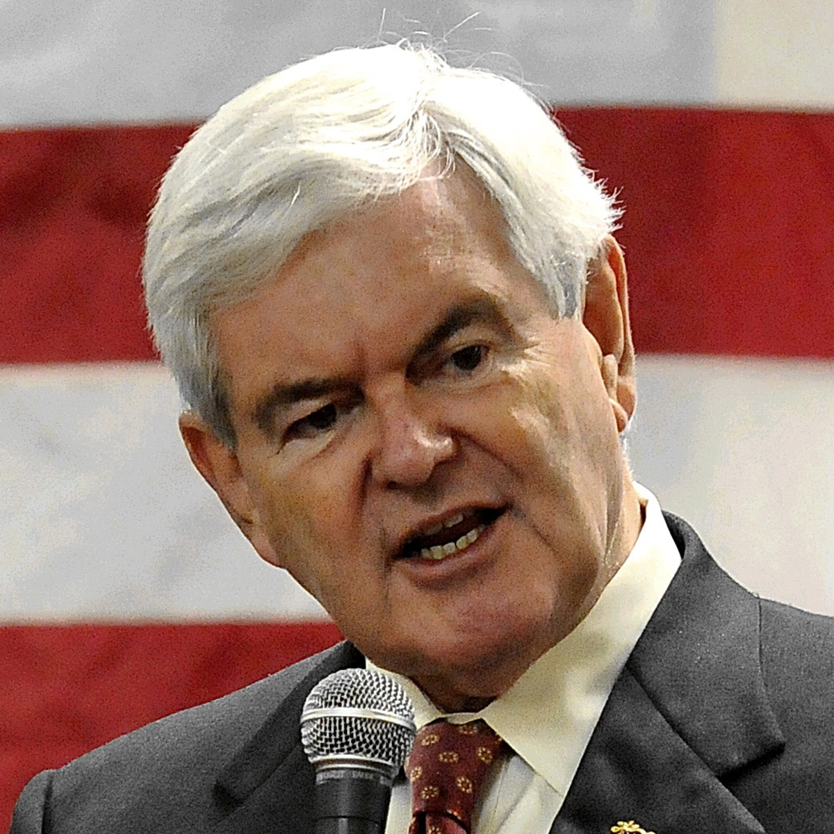 newt gingrich
